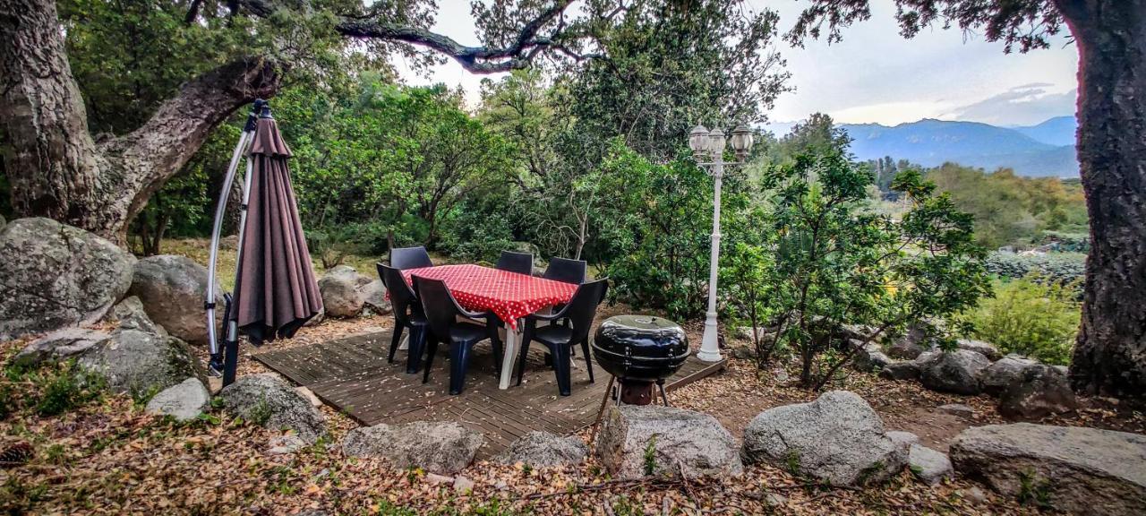Apartamento Les Jardins De Sainte-lucie Piscine Chauffée