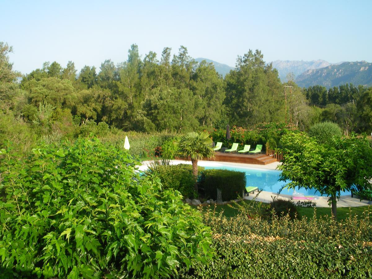 Apartamento Les Jardins De Sainte-lucie Piscine Chauffée
